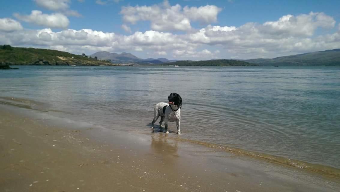 89 Lower Lakeside - Glan Gwna Holiday Park Caernarfon Luaran gambar