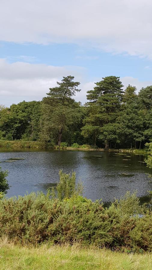 89 Lower Lakeside - Glan Gwna Holiday Park Caernarfon Luaran gambar